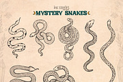 Mystery Snakes, an Animal Illustration by Ink Stories (Thumbnail 10 of 31)