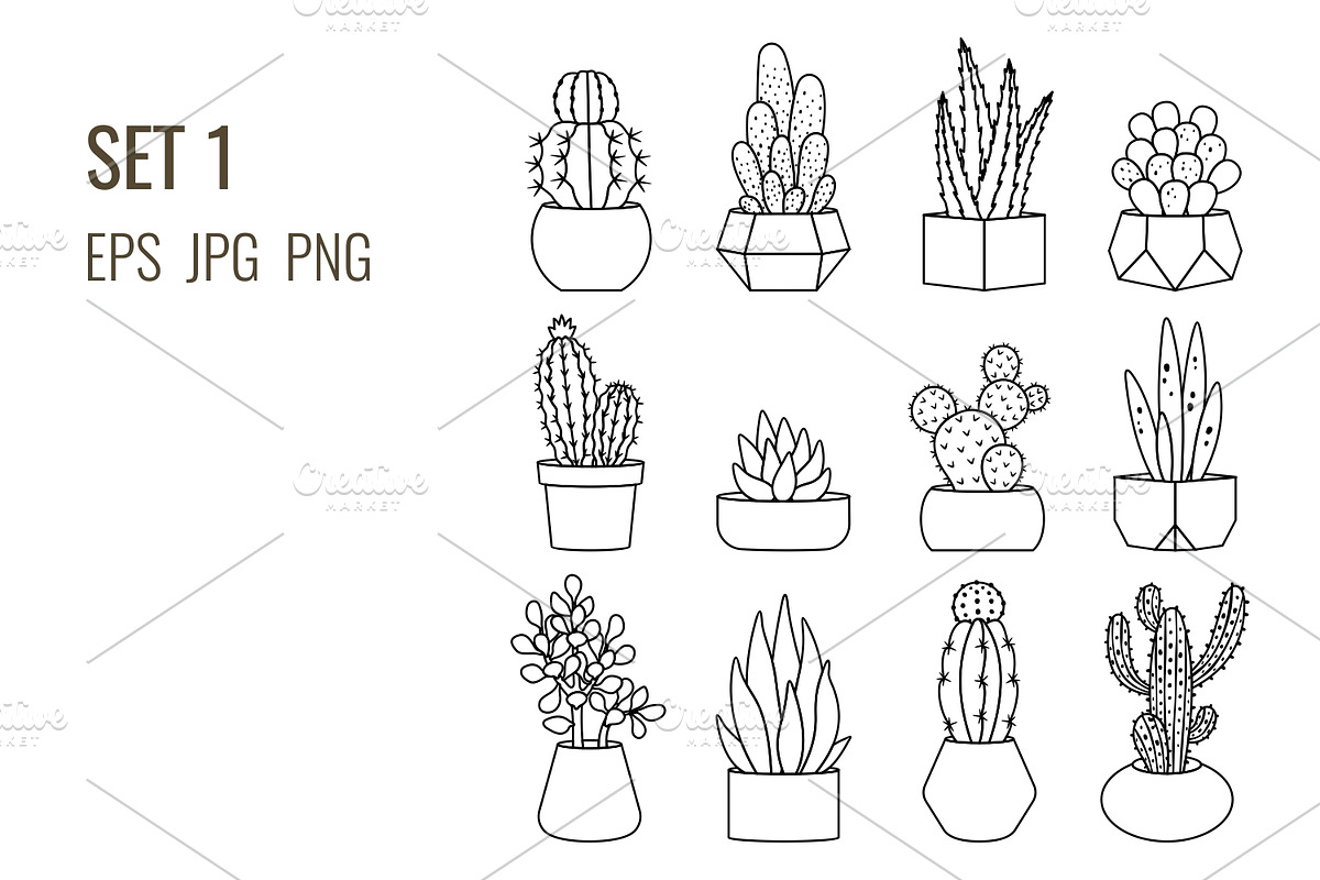Outline cacti and succulents set, a Decorative Illustration by Primula`s shop (Photo 2 of 3)