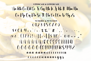 Yellow Banana | Script Font, a Handwritten Font by Scratchones (Thumbnail 7 of 8)
