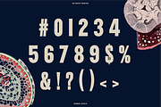 Nautic Grotesk - Modern Display Font, a Sans Serif Font by Bnick (Thumbnail 6 of 12)