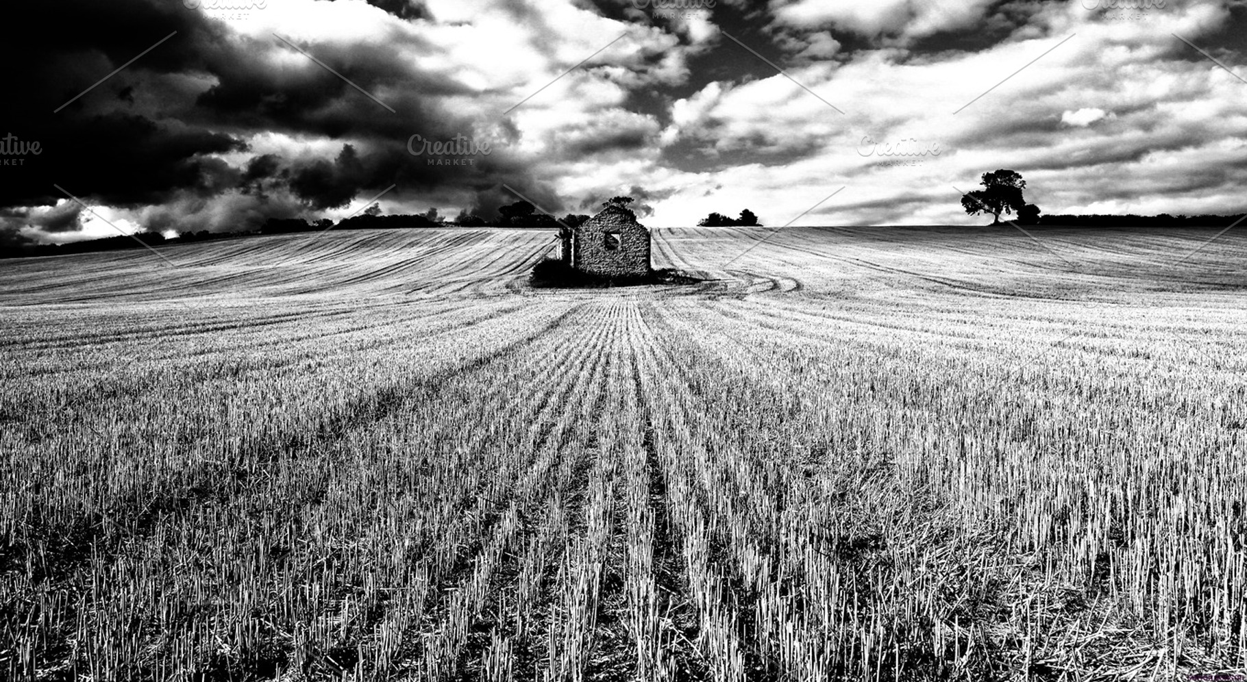 Black & White Barn