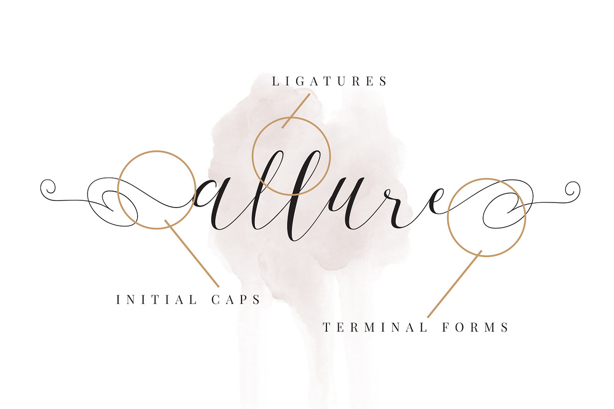 First Choice - Wedding Calligraphy preview 6