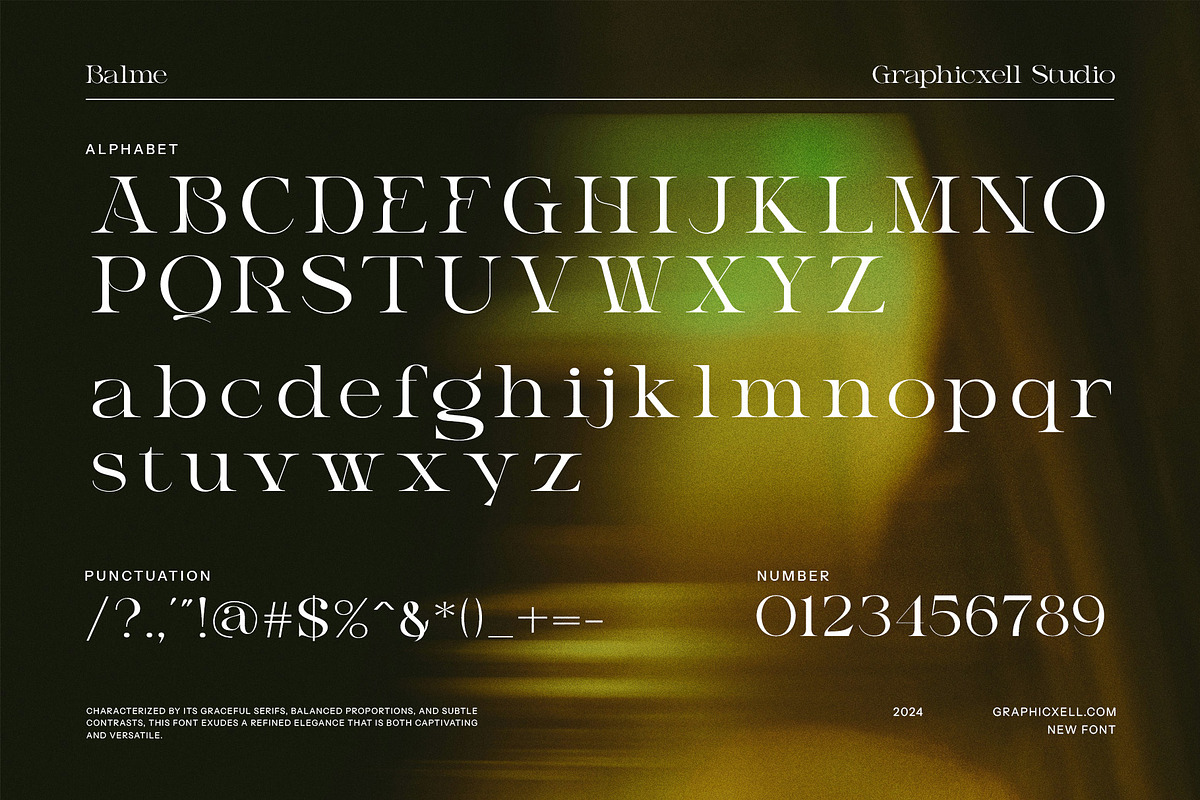 Balme Modern Serif Font, a Serif Font by Graphicxell (Photo 8 of 8)
