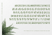 Leafy Plant Fun Typeface, a Sans Serif Font by Wandery Supply (Thumbnail 5 of 9)