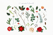 Winter flowers - Christmas clipart, a Decorative Illustration by Vasmila (Thumbnail 6 of 9)