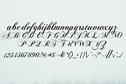 Coelogyne Script - Calligraphy Font, a Script Font by Scandy Font (Thumbnail 5 of 6)
