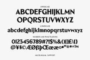 Blackney Font Family, a Serif Font by Arterfak Project (Thumbnail 13 of 14)