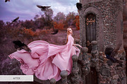 Bird Overlays Photoshop, a Plug-in Add-On by FixThePhoto (Thumbnail 19 of 32)