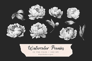 Peonies Patterns & Elements IV