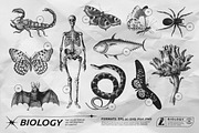 125 Vector Bitmap Assets. Biology, a Graphic by Vanzyst (Thumbnail 2 of 16)