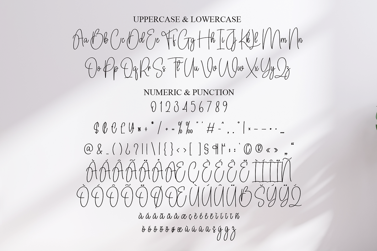 Daddy Signature | Script Font, a Handwritten Font by Scratchones (Photo 7 of 8)