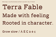 Terra Fable Sculpted Slab Serif, a Slab Serif Font by Colorsfav (Thumbnail 2 of 11)