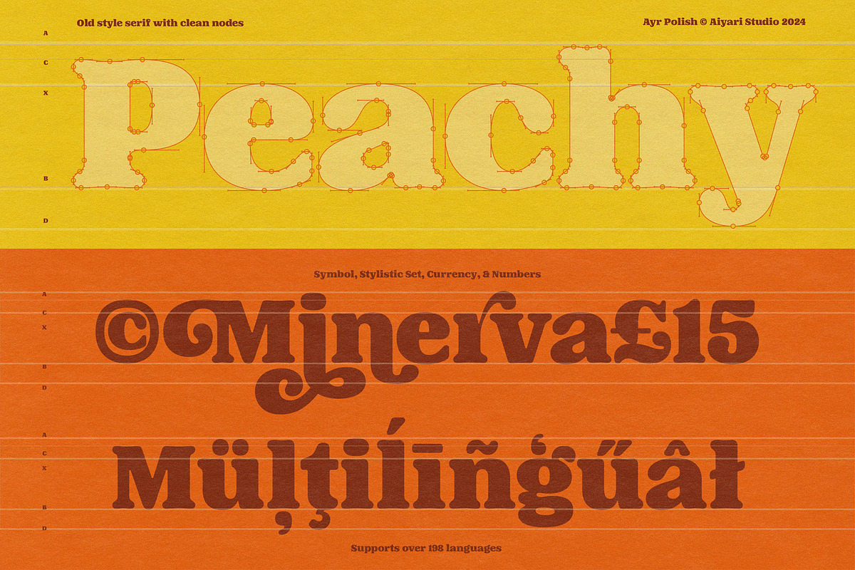 The Polish, a Serif Font by Aiyari (Photo 3 of 12)
