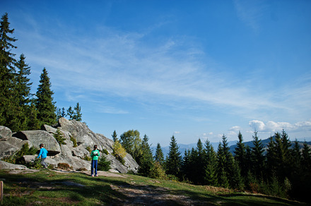 Brothers hike in the mountains, children are walking along a mou, a Person Photo by AS photostudio