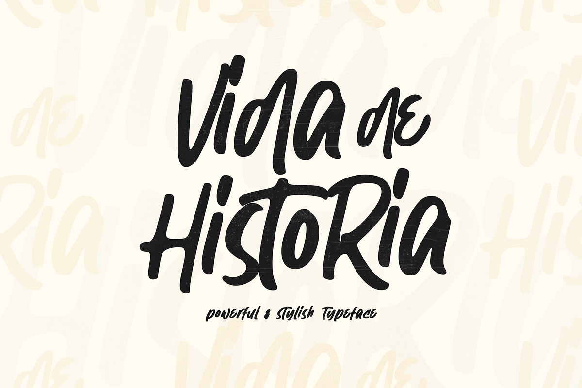 Vida de Historia - Stylish Typeface, a Font by Garisman Std (Photo 1 of 9)
