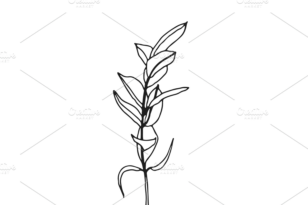 Palm Leaves svg, Botanical png, a Decorative Illustration by Watercolor_Vector Graphic (Photo 10 of 25)