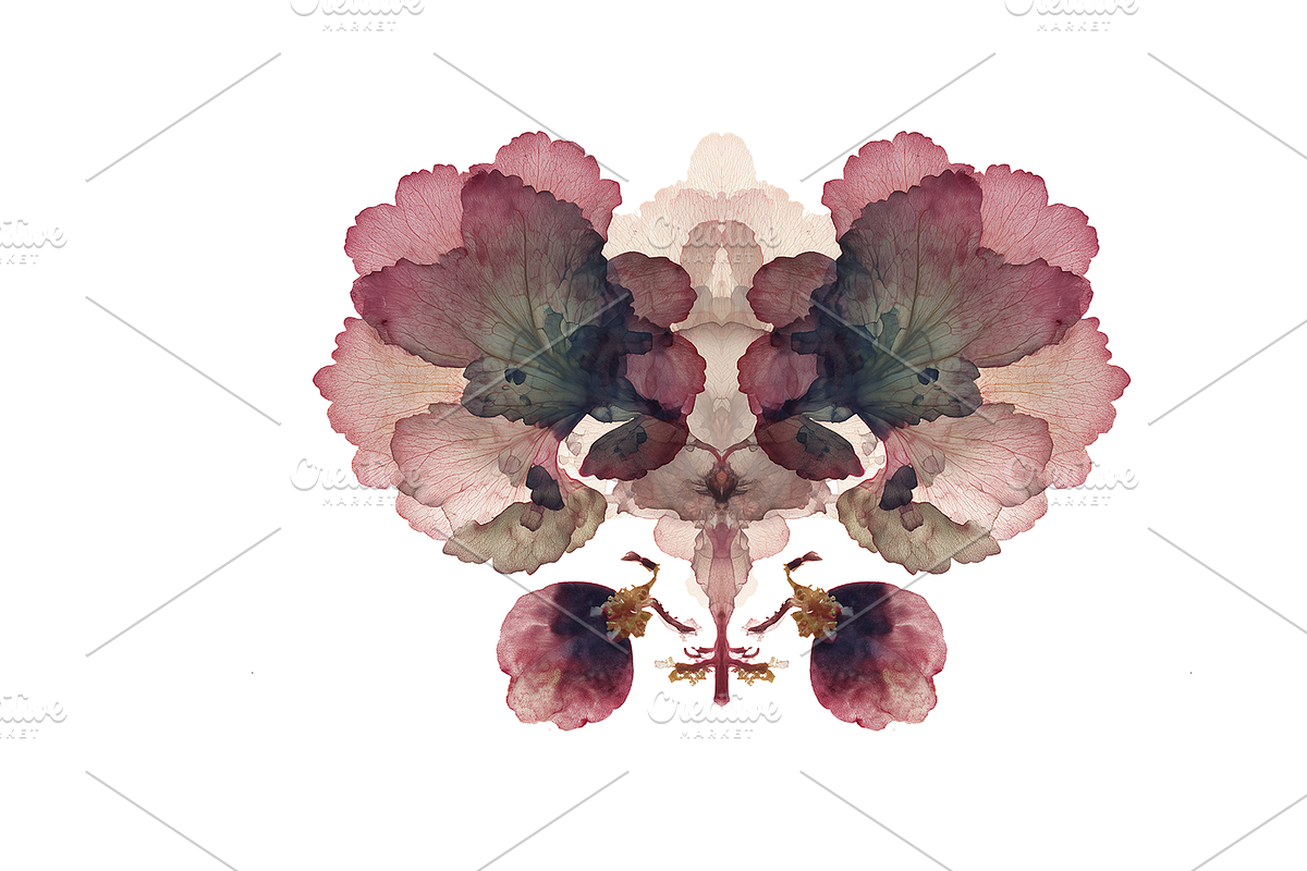 Heum Co. Botanical Inkblot Art, a Decorative Illustration by milatovar (Photo 13 of 20)