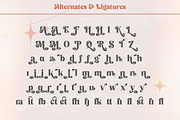 Signature Mango - Modern Retro Font, a Serif Font by Shakira Studio (Thumbnail 18 of 18)
