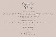 The Angellica - Calligraphy Font, a Script Font by StringLabs (Thumbnail 10 of 13)
