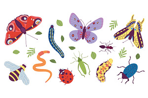 Insect Characters. Coloring Doodle