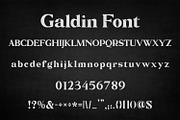 Galdin - Serif Font, a Serif Font by OWPictures (Thumbnail 10 of 10)