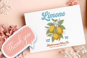 Retro Summer Lemon Fruit PNG, a Seasonal Illustration by Canvas Craft (Thumbnail 7 of 7)