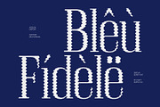 Acelon Distort, a Serif Font by Craft Supply Co. (Thumbnail 7 of 8)