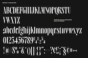 Philyou Display | Clean & Expressive, a Serif Font by Jolicia Type (Thumbnail 11 of 15)