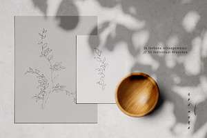 Ikebana Flower Illustrations