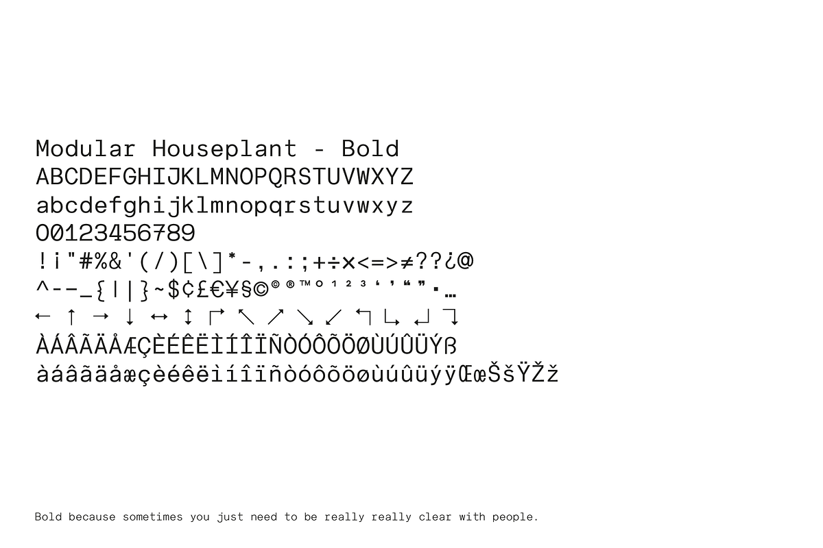 Modular Houseplant | Monospaced Font, a Sans Serif Font by Off The Rack © (Photo 8 of 9)