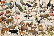 Vintage Collage Creator 400+ Assets, an Object Graphic by DreamoraArt (Thumbnail 6 of 18)