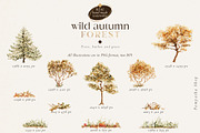 Wild autumn forest - watercolor fall, an Animal Illustration by Pamyatka Shop (Thumbnail 15 of 16)