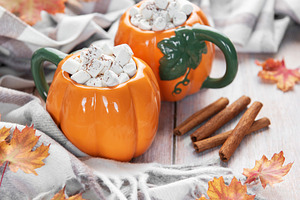 Pumpkin mugs filled with hot chocolate for autumn comfort, a Food & Drink Photo by Olena Rudo