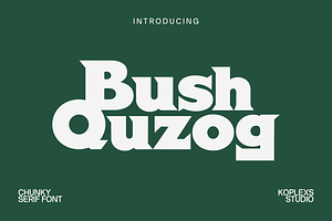 Bush Quzoq Font | Bold Chunky Serif
