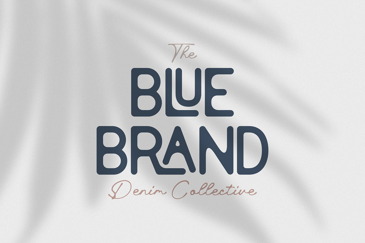 Relation De Luxe - Font Duo, a Sans Serif Font by Prioritype Co (Photo 3 of 11)