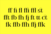 Stigsa Display Font Family, a Serif Font by Seniors (Thumbnail 12 of 15)