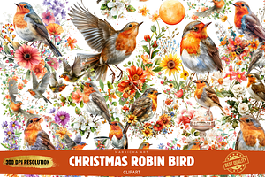 Christmas Robin Bird Clipart Bundle, an Illustration by Markicha Art