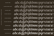 Avilona Super Family | 63 Style Font, a Serif Font by IM Studio (Thumbnail 14 of 16)