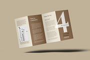 4 Fold DL Brochure Mockup - 8 Views, an Advertising Mockup by Illusiongraphic (Thumbnail 6 of 20)