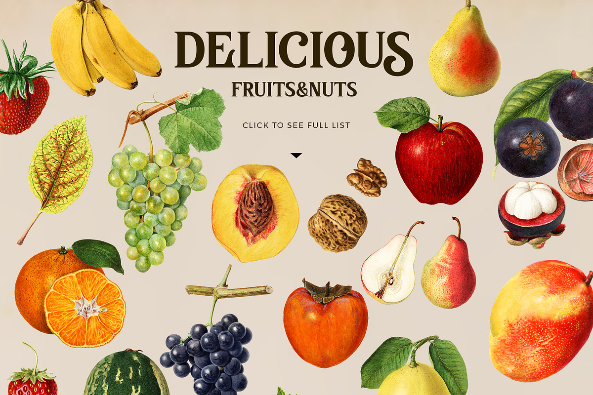 Vintage harvest fruits collection, a Pattern Graphic by Beauty Drops (Photo 5 of 9)
