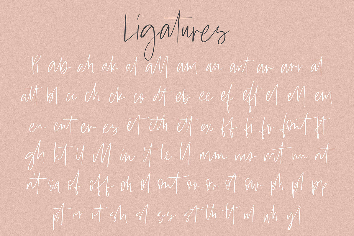 Amaro | Script + 6 Free Logos, a Script Font by Jen Wagner Co (Photo 12 of 12)