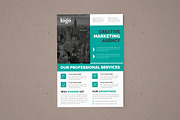 Flyer Template, a Flyer Template by Alice_s (Thumbnail 8 of 10)