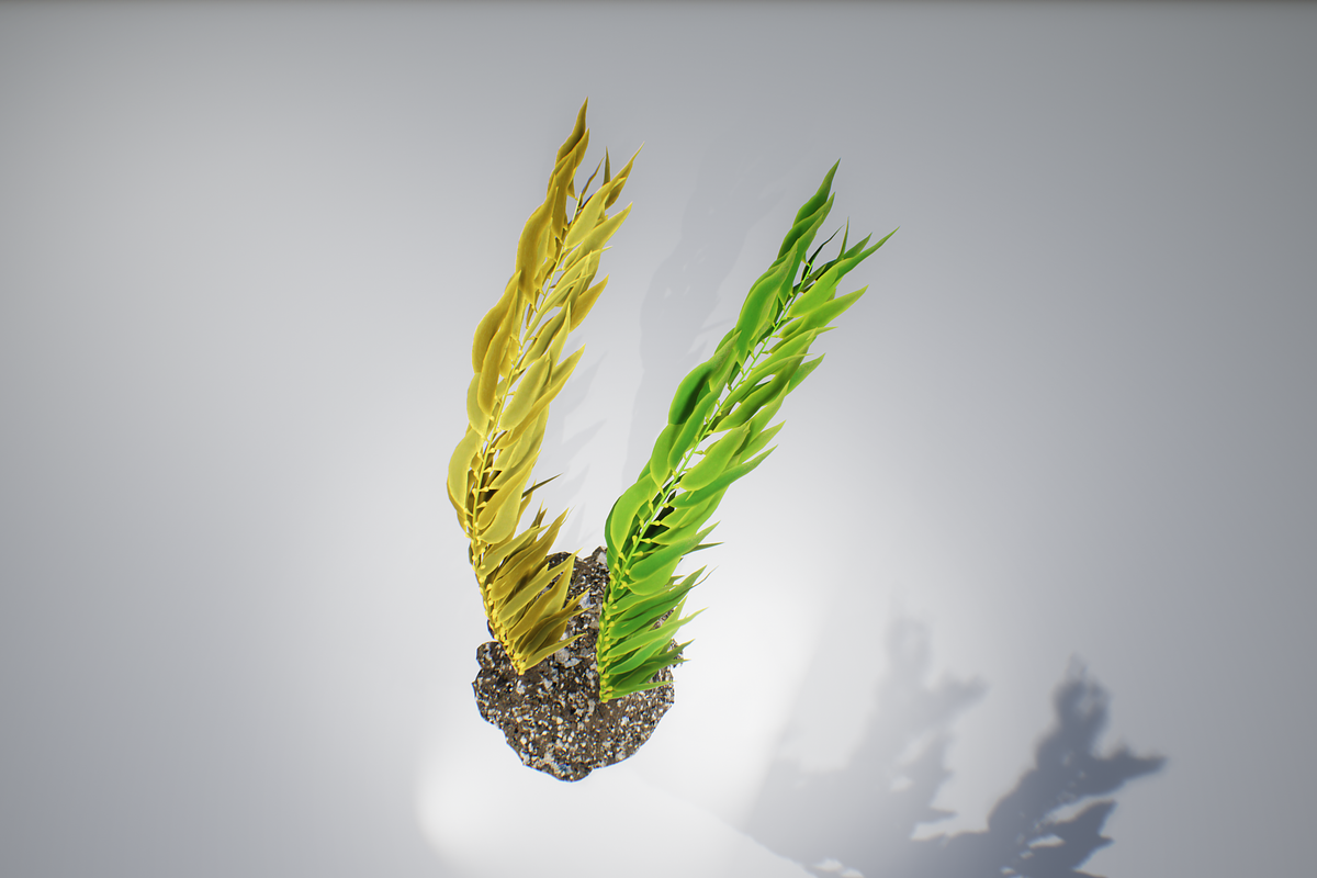 Kelp V2, an Environmental 3D Model by AndrewWhite (Photo 12 of 12)