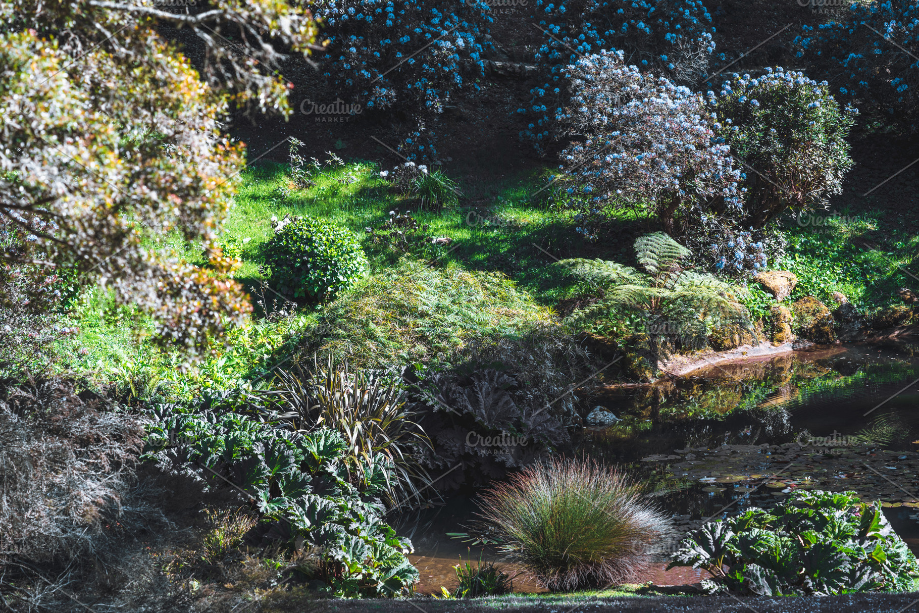 Blooming garden by reflective pond, a Nature Photo by SkyNext