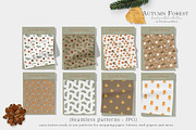 Fall forest mushrooms clipart, an Illustration by Ksenia Shmakova (Thumbnail 4 of 11)