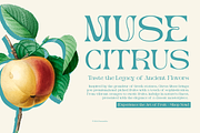 Merlo Rakasha | Display Serif Font, a Serif Font by Denustudios (Thumbnail 4 of 13)