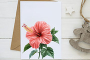 Hibiscus Flower Watercolor Cliparts, an Illustration by Designworld (Thumbnail 5 of 8)