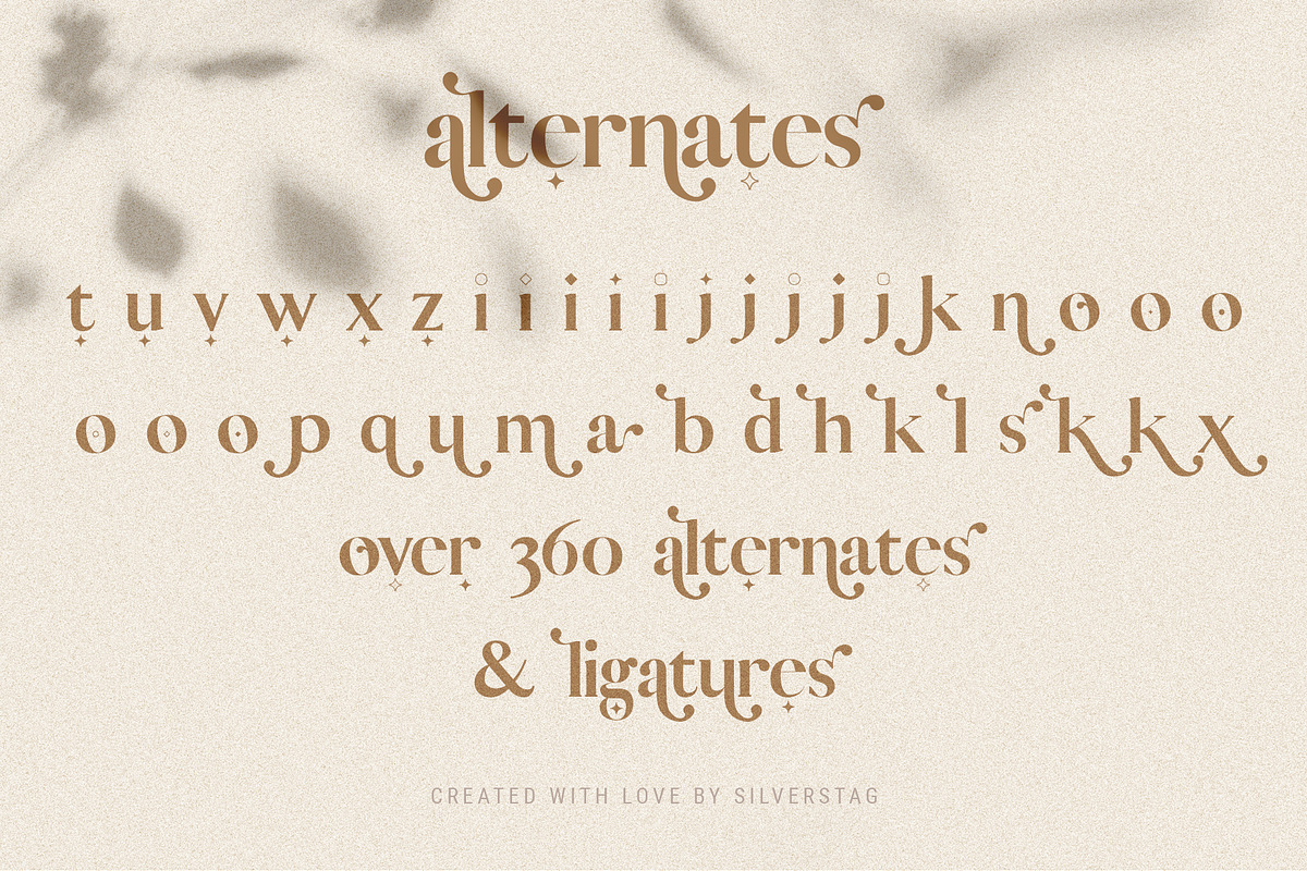 Vicky Christina Ligature Serif Font, a Serif Font by SilverStag Type Foundry (Photo 25 of 25)