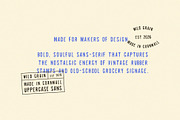 Wild Grain | A Bold Retro Stamp Sans, a Sans Serif Font by Courtney Flannagan Design (Thumbnail 4 of 7)