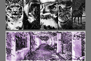 Vintage Facebook Timeline Maker, a Templates & Theme by DesignThor (Thumbnail 4 of 5)